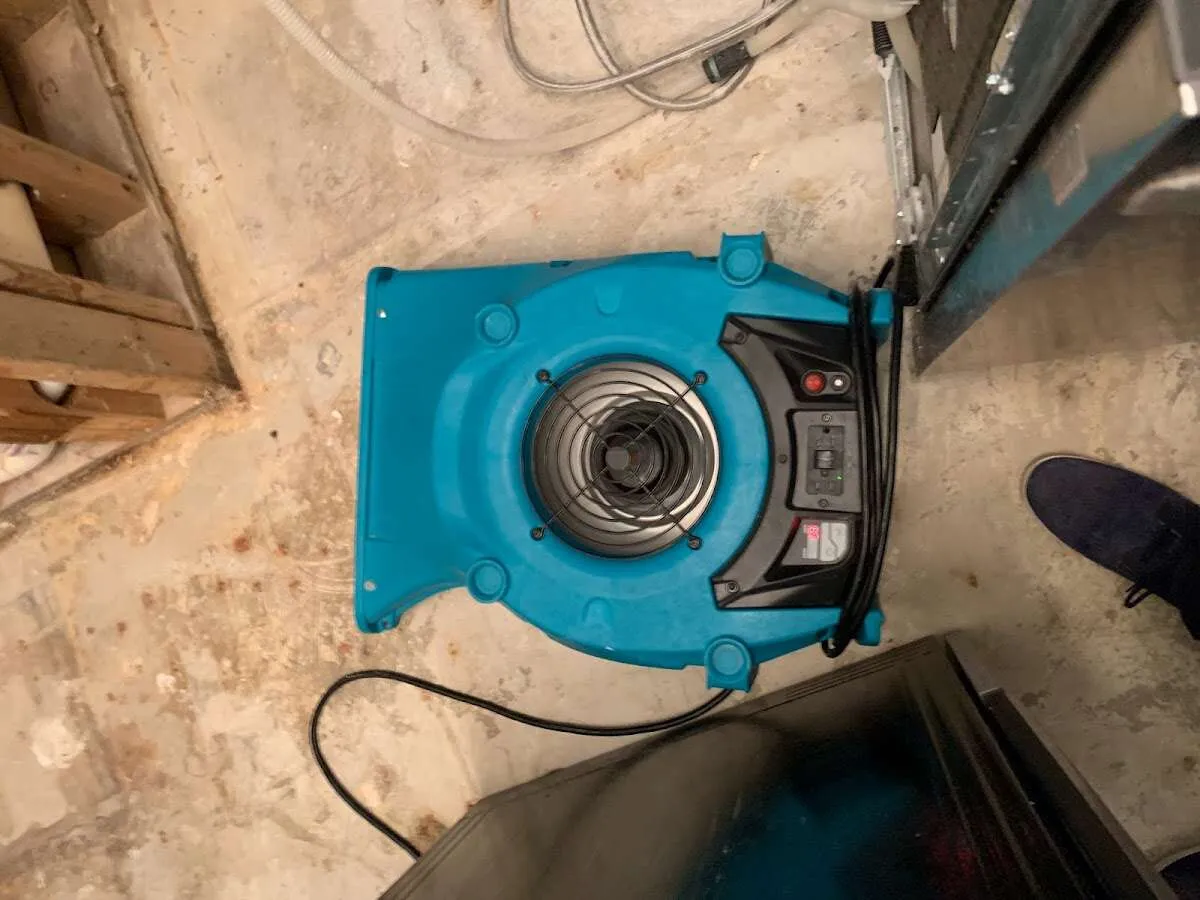 Air mover drying equipment for Mold Remediation & Removal in Auburn